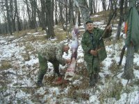 SA400038_новый размер.jpg