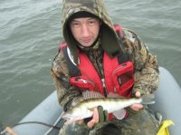 IMG_3309.jpg