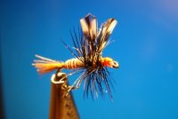 Red Quill 006.jpg
