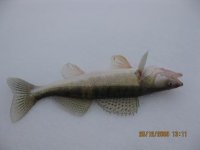 IMG_1880.jpg