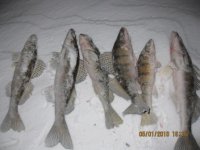 IMG_1934.jpg