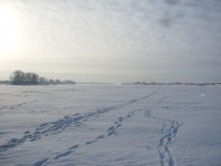 морозец.jpg