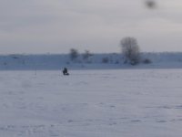 сомятник.jpg