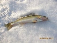 IMG_2013.jpg