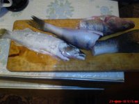 DSC00022.jpg