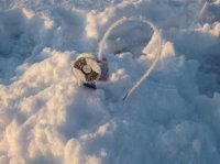 IMG_02021.jpg