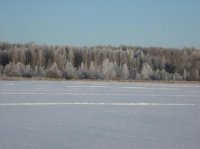 IMG_02231.jpg