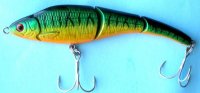 Caiman #49810.jpg