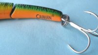 Caiman #49810_2.jpg