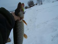 100_0352.jpg