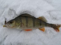 IMG_1616.jpg