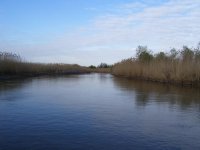 100_0401.jpg