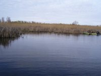 100_0398.jpg