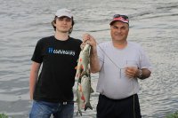 IMG_1199.JPG