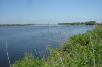 P1040974_измен.размер.jpg