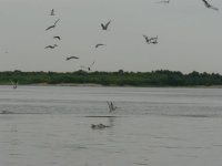 P1150464 [600х450].JPG