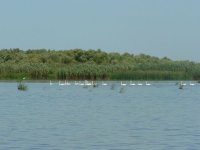 P1150237 [600х450].JPG