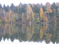 IMG_2917.jpg