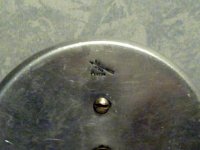 04072010583.jpg