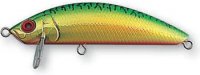 SSMinnow_70.jpg