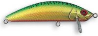 SSMinnow_70.jpg