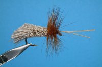goddard_caddis.jpg