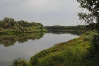 D300 015_rs.jpg