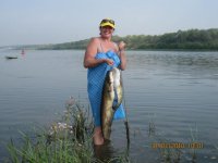 IMG_2569.jpg