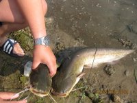 IMG_2573.jpg