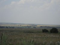 193.jpg