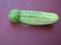 IMG_2360.jpg