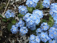 по дороге 2.jpg