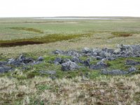 по дороге 4.jpg