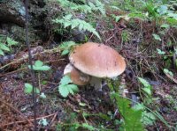 IMG_2694.jpg