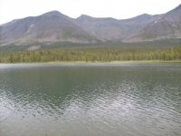 Озеро Лосиное.jpg