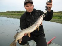 IMG_4802.jpg