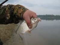 IMG_4806.jpg