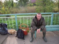 грыбочки..jpg