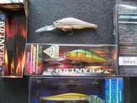 IMG_2068.jpg