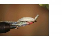 кумжовый поверхностный.jpg