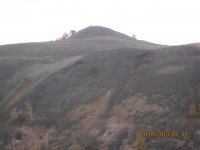 IMG_2830.jpg