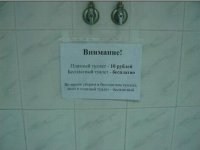 туалет.jpg