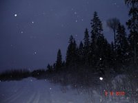 DSC01695.jpg