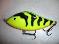 salmo slider 12 s gt.JPG