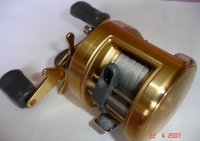 Shimano Сalcutta 250.JPG