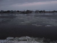 IMG_5351.jpg