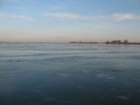 IMG_5287.jpg