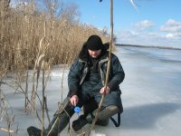 IMG_5294.jpg