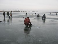 IMG_5335.jpg