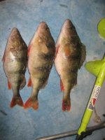 IMG_5394.jpg